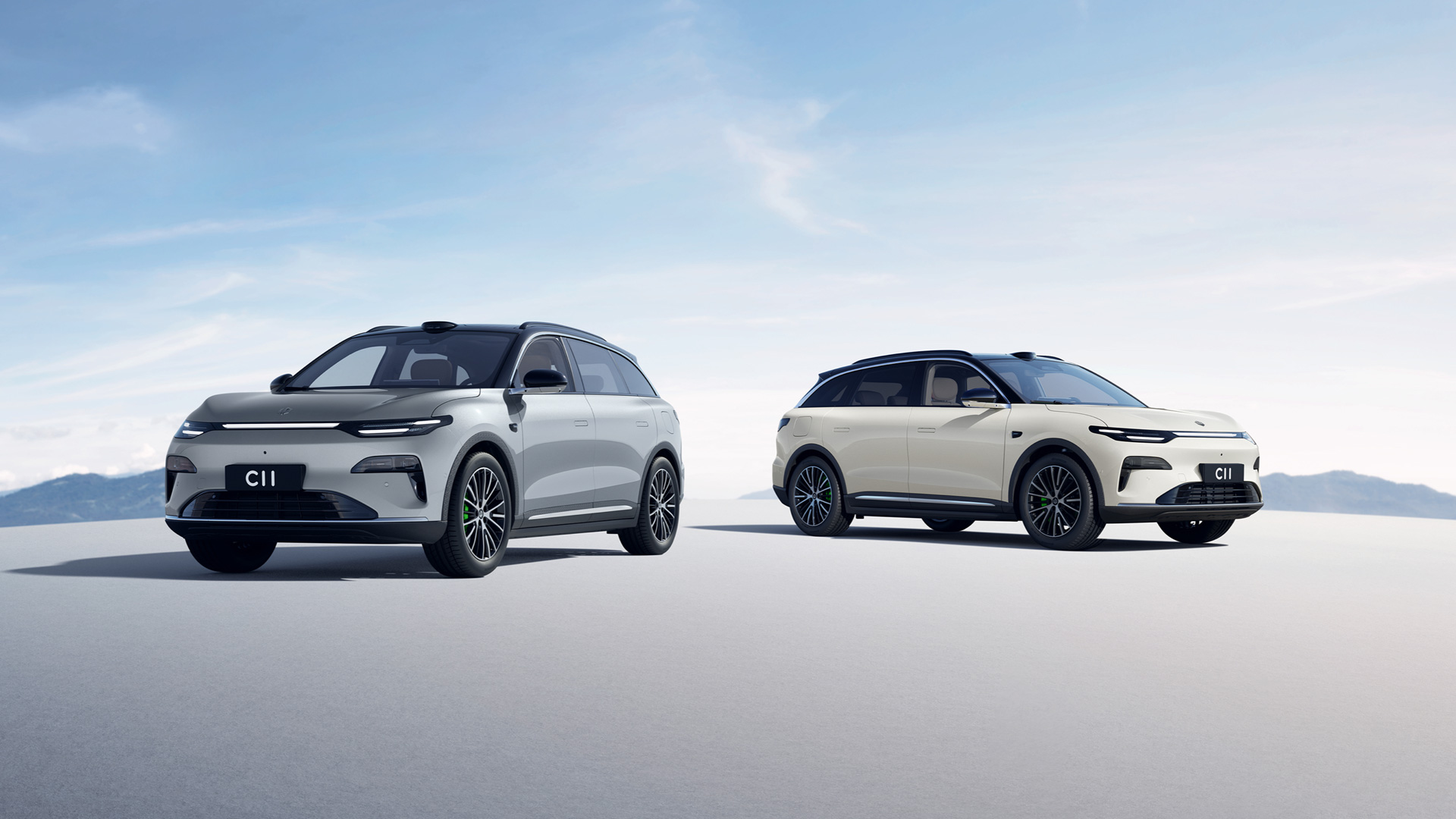 Гибрид Leap Motor C11 DM